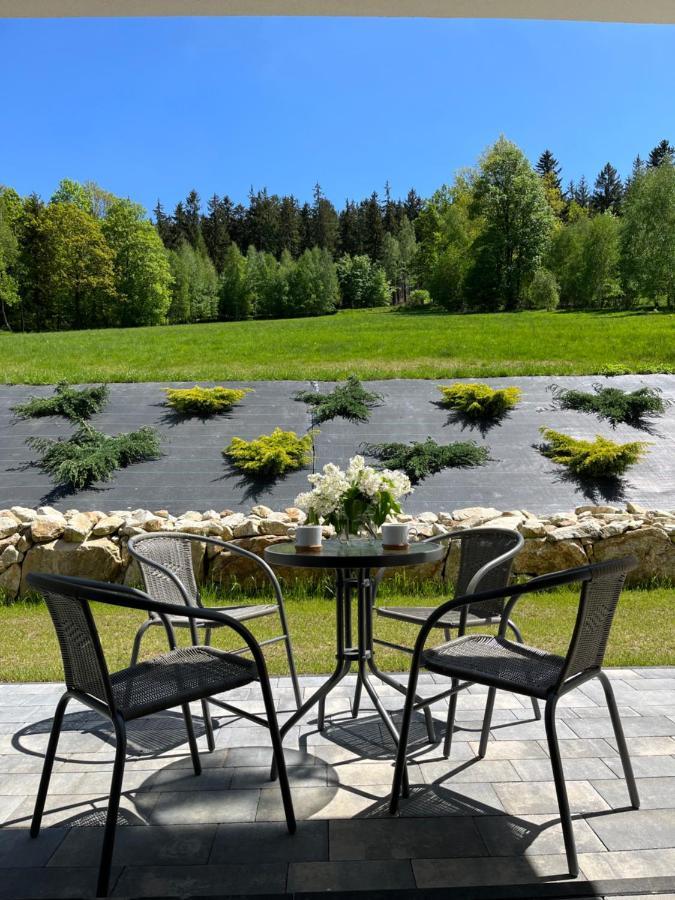 Apartament Na Wzgorzu 1, Sauna, Ebike, Las, Widok - 5D Apartamenty Свєрадув-Здруй Екстер'єр фото